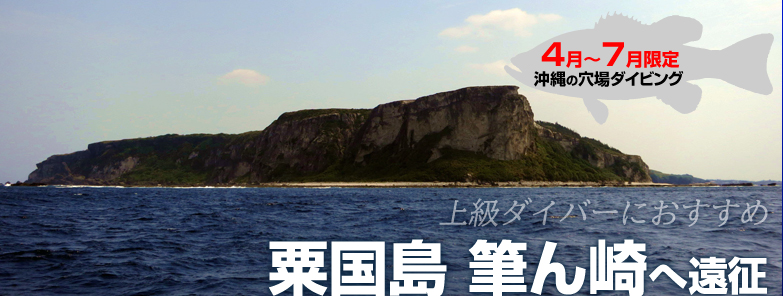 DRISTA 沖縄の穴場ダイビング 中級・上級ダイバーにおすすめ 渡名喜へ遠征