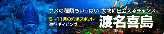 渡名喜島遠征ダイビング 5～11月の穴場スポット